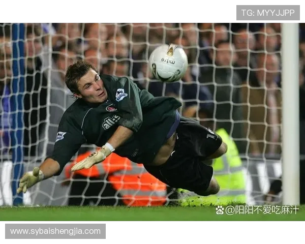 诺伊尔：从守门员到传奇，足球场上的不屈精神与辉煌成就