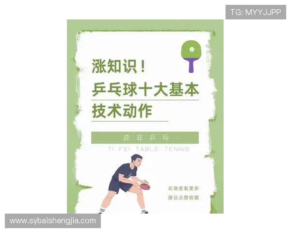 吴伟独家分享乒乓球技巧与心得助你提升球技的全方位指南