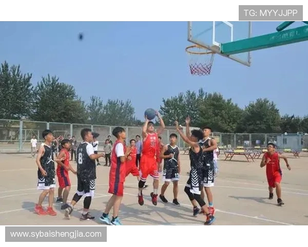 刘强专访：回顾篮球历程