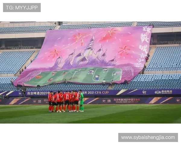 南京乒乓球队转型之路的挑战与机遇探索全新发展模式